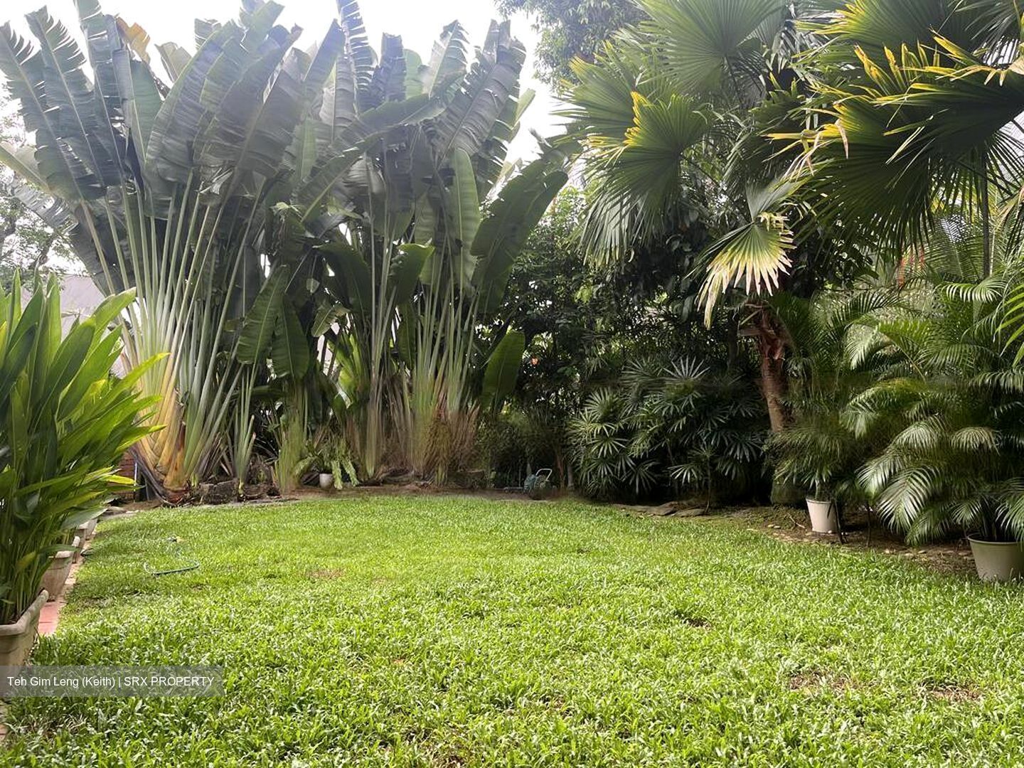 Capitol Park (D11), Semi-Detached #601423611